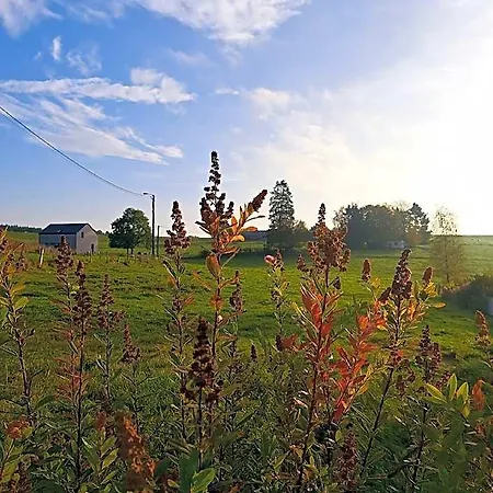 Hotel Al Fontaine - *